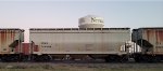 TCMX 309608